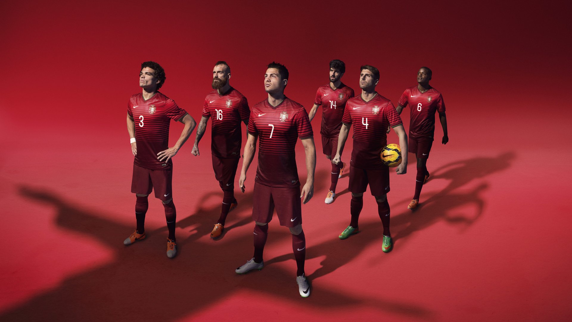 伊朗马术协会与非洲马术协会开展技术援助项目，提升当地水平。